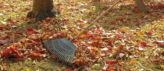 Plastic Blad Hark 550mm - 23 Tanden - Outdoor Tuin Handgereedschap - Gelakt Natuurlijk Houten Handvat - Gazon Leveling Leak Rake van Merkloos	