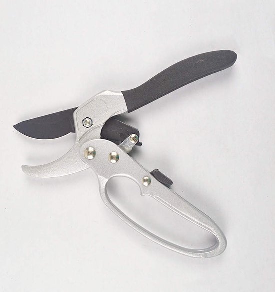 Power Snoeischaar met ratel / Snijdikte tot 24 mm van Kinzo