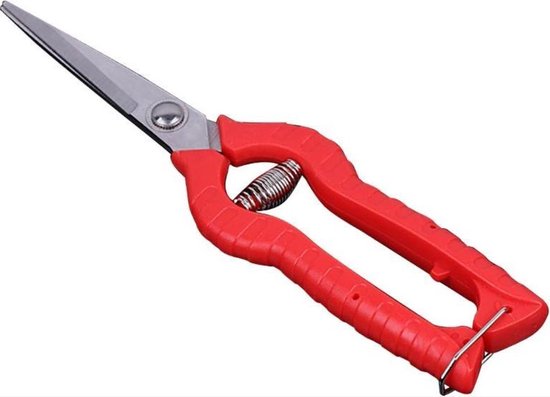 *** Precisie Snoeischaar voor snijbloemen en licht snoeiwerk - 21cm RVS Oogst-schaar - van Heble® *** van Heble®