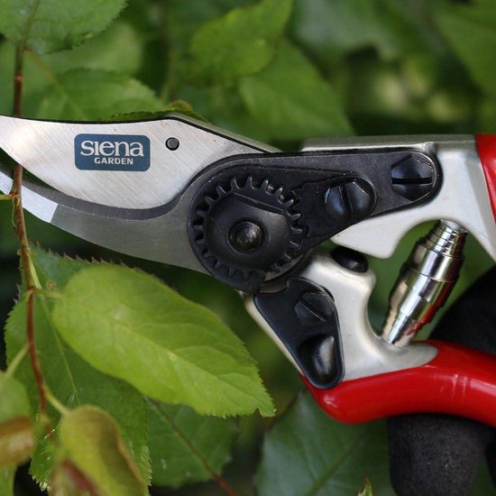Premium Tuinschaar - Rozenbypassschaar 691526 van Kinzo