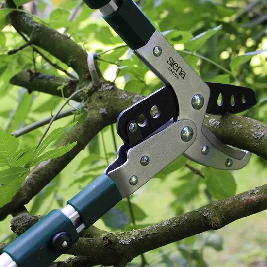 Pro aluminium takkenschaar telescopisch - 358328 met verstelbare armen van Pro