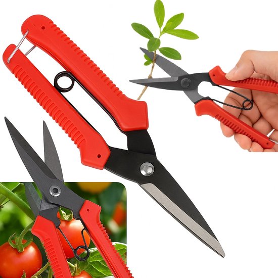 Professionele Handmatige Snoeischaar – 19 cm | Voor Bloemen, Struiken, Gras & Planten | Tuinschaar met Veiligheidsvergrendeling & Ergonomisch Handvat – RoodAfgeronde Puntbladen I RVS/Kunststof I Kleur Assorti van Merkloos	