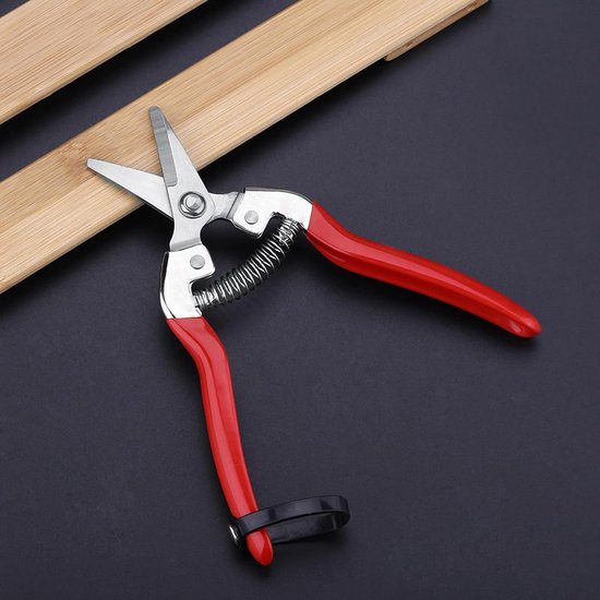 Professionele Handsnoeischaar - Snoeischaar voor Tuinrozen - Roestvrijstalen Schaar voor Snoeien, Bloemschikken, en Fruit Oogsten met Gebogen Mes . van Merkloos	