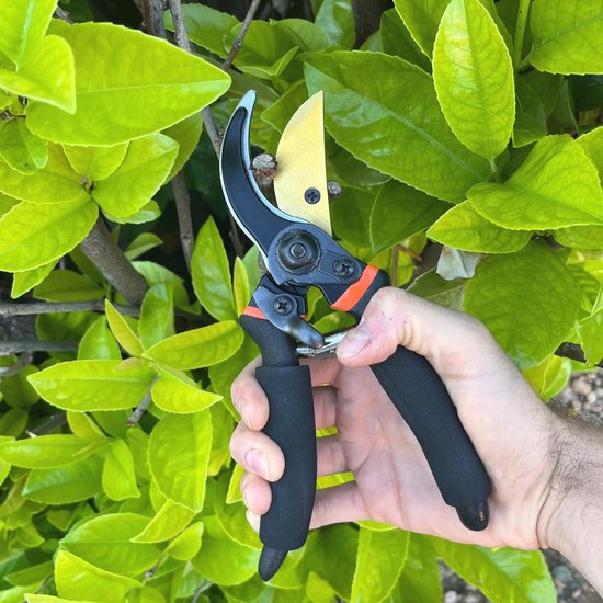 Professionele handsnoeischaar voor tuin en bonsai - 22 mm snijcapaciteit van GARDENA