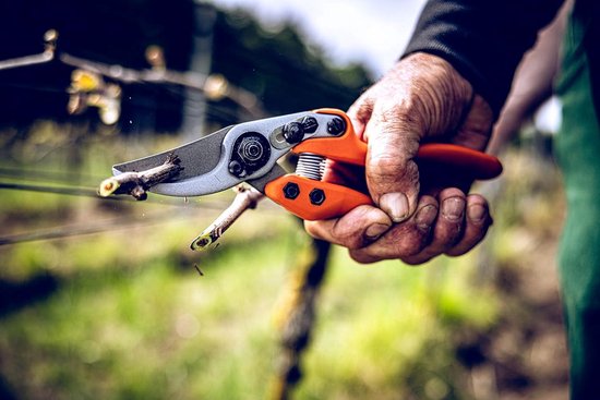 Professionele snoeischaar bypass schaar met stalen messen - anti-aanbaklaag - lichte en scherpe snoeischaar - tweezijdig - ideaal voor nauwkeurig snoeien van bloemen en takken van Pro