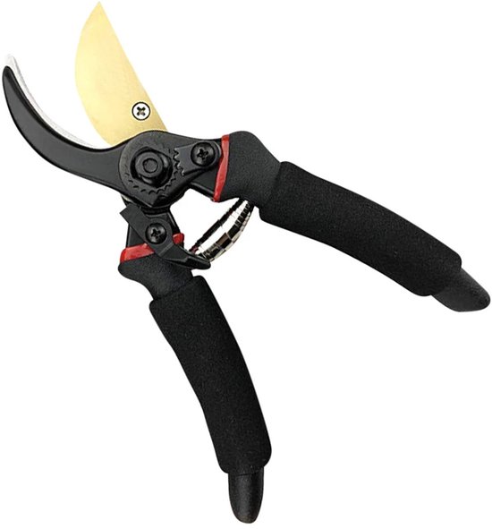 Professionele Snoeischaar - Takkenschaar - Bloemenschaar - Ergonomisch Ontwerp - Super Scherp SK5 Staal - Geschikt voor Bonsai en Tuinieren - Tuin - Snoei - Heggenschaar van Bellson