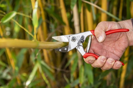 Pruning Shears Anvil Red - Aluminium Stainless Steel 32 Anvil Red 21 cm van Fiskars