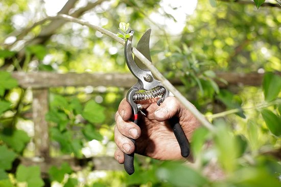 Razorsharp Premium bypass boomsharp