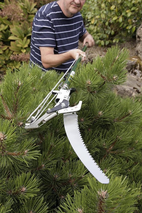 Razorsharp Telescopische Rupsschaar - Kew Gardens Collection - Krachtig en Duurzaam van Razor