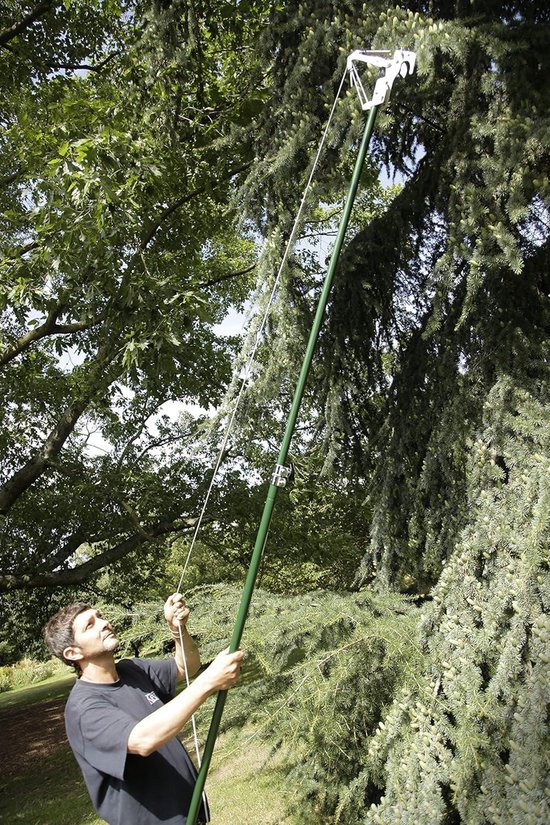 Razorsharp telescopische rupsschaar uit de Kew Gardens Collection - 4930KEW van Razor