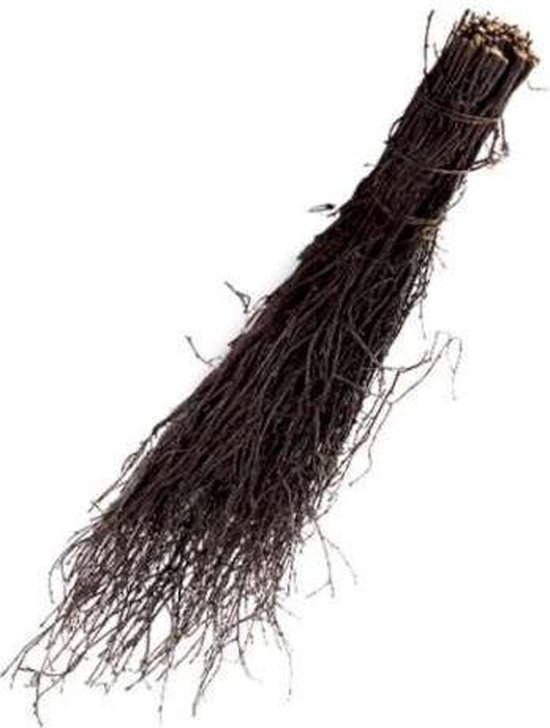 Rijsbezem bruin 75cm van Kelfort