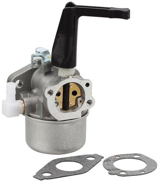 Ruichang Briggs & Stratton Tiller 696065 Vervangende carburateur met pakkingset van Ruichang