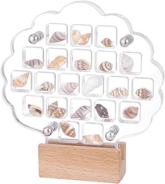Sea Shell Holder 21 Grids - Acryl - Schelpen Display Box - Houten Basis - Transparante Doos - Kleine Craft Organizers voor Schelpen - Kralen - Stenen van Merkloos	
