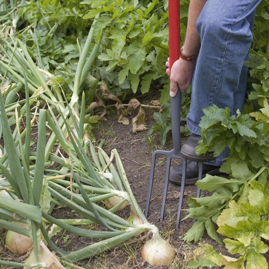 Select Carbon Graafvork voor het Uitgraven van Verdichte Grond van Fiskars