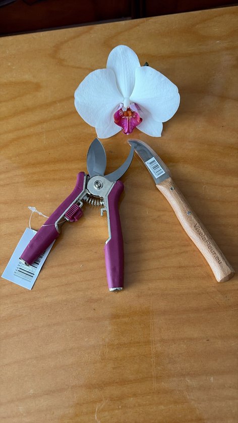 Set kleintje knip Bloemenschaar en Mes voor snijbloemen - Snoeischaar SK5 Japans staal - Soft Grip - Bloemistenmes - Bloemenmes - Hobbymes - Groentemesje - Bloemensnijder