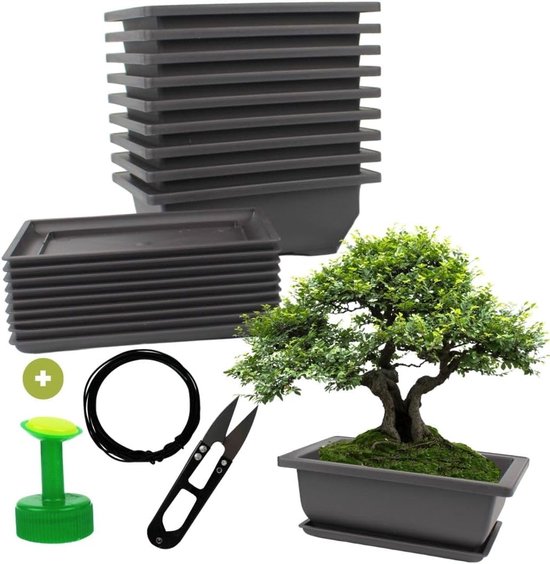 Set van 10 Bonsaipotten met Onderzetter en Kweekaccessoires