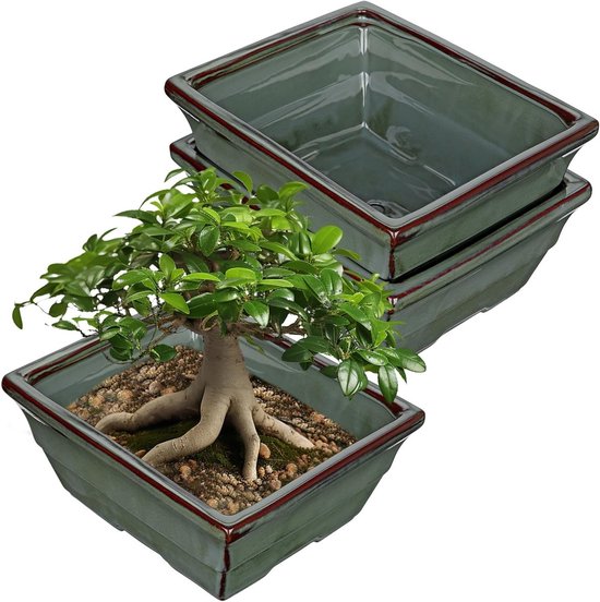 Set van 2 keramische bonsai potten met drainagegaten voor Japanse kamerplanten, retro tuindecoratie, diameter opening 25,5 cm