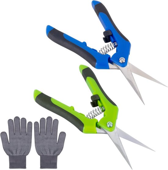 Set van 2 Snoeischaren voor Rozenplanten, 170 mm, RVS, Ideaal voor Tuin, Groenten en Fruit, Perfect voor Precisiewerk en Snoeien
