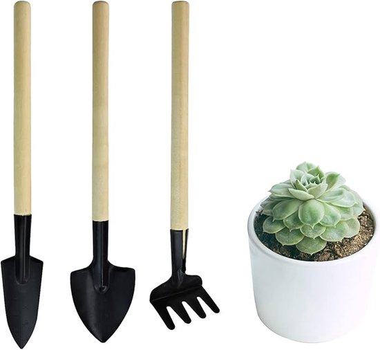 Set van 3 draagbare mini-tuingereedschappen - miniatuur tuinhark, troffel en schep voor zaaien, bonsai, vetplanten, kruiden, terraria en aanplant van Merkloos	