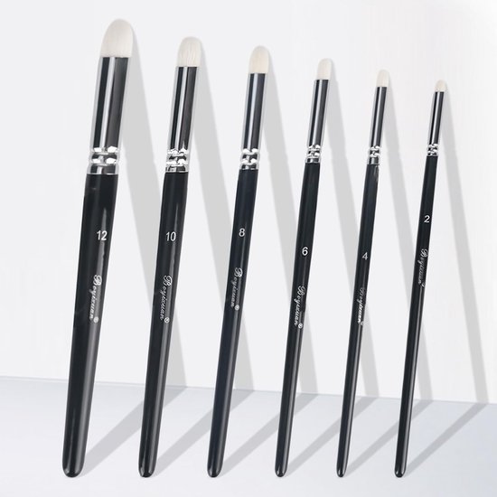 Set van 6 Fijne Borstels - Miniatuur Verf Borstelset voor Modelbouw en Natuurlijke Geitenharen Borstels van Merkloos	