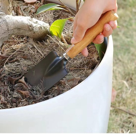 Set van 6 Mini Tuingereedschappen, Lichtgewicht IJzeren Harkjes voor Binnen en Buiten Gebruik, Perfect voor Tuinieren en Plantenzorg