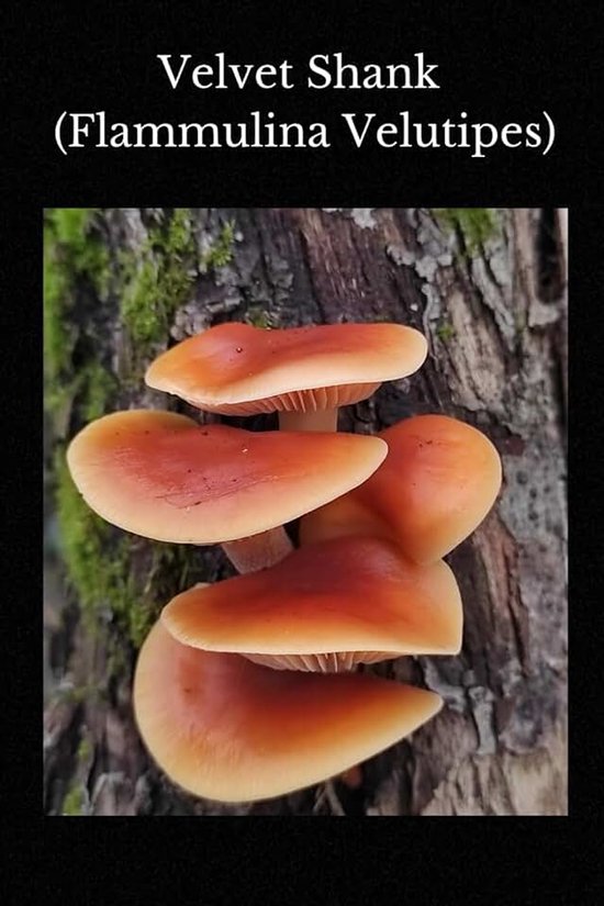 Shank (Flammulina Velutipes): Lined Notebook for Nature and Mushroom Lovers