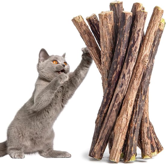 Silvervine Matatabi Sticks - 30 Pieces Cat Dental Care Chew Toys - Grass Chew Sticks voor Stressverlichting en Angst bij Katten van Merkloos	