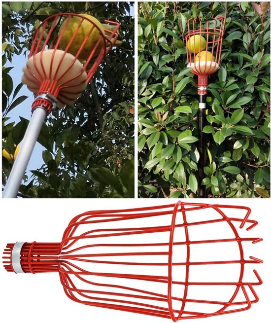 SnelShoppen - Fruitplukgereedschap - Professionele Fruitplukker Vervangende Staal Multifunctioneel Voor Peren Avocado's Tuinpark Boomgaard