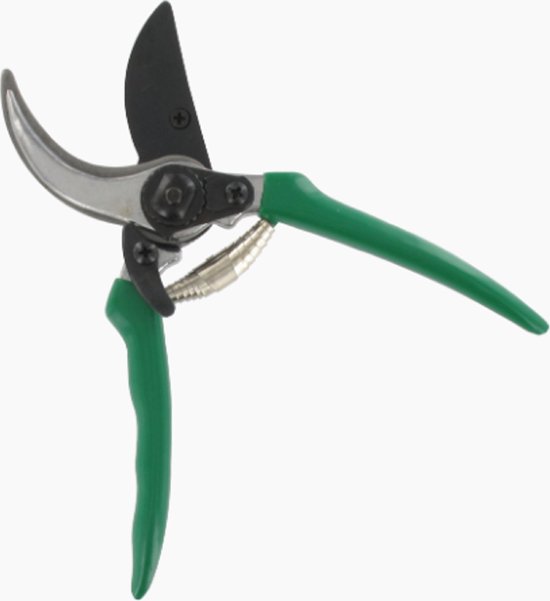 Snoeischaar - 20cm- Bloemenschaar-Snoeischaar model felco 210mm van Felco