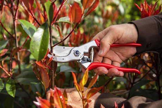 Snoeischaar FELCO 4 - ø 25 mm - Grote Handen - 210 mm lengte - Sapgroeve garden saw hand van Felco