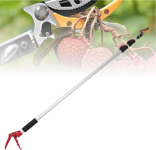 Snoeischaar lange steel - Takkenknipper - Boom snoeien - Lichtgewicht aluminium - 3 meter - Grijs