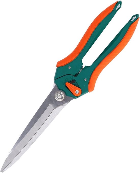 Snoeischaar met lange neus - RVS messen - Ergonomische handgreep - Plantenschaar - Tuinieren - Groen - Snoeischaar met roestvrijstalen messen - Geschikt voor planten - Ergonomische plantenschaar met lange neus. van Merkloos	
