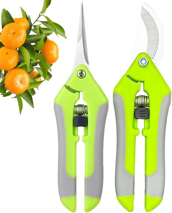 Snoeischaren Set - Tuin Scharen - Tuin Onderhoud - Roestvrij Staal - 2 Stuks - Fruitgroen