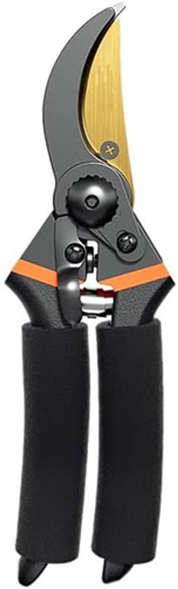Snoeischaren - Snoeischaar - Tuinschaar - Takkenschaar - Titanium Gecoat Lemmet Van Hoogwaardig Koolstofstaal - Kan Takken Tot 3 Cm Dik Knippen van Merkloos	