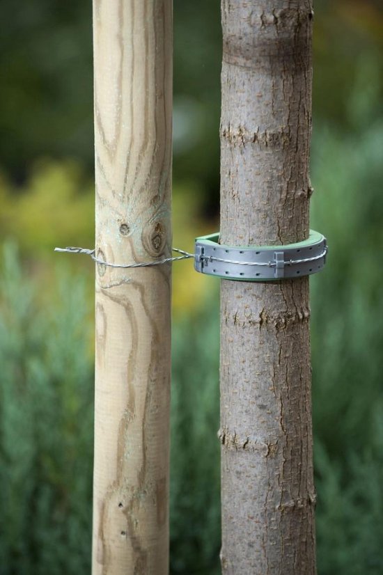 Softboomband groen 30x2,5cm set a 2 stuks