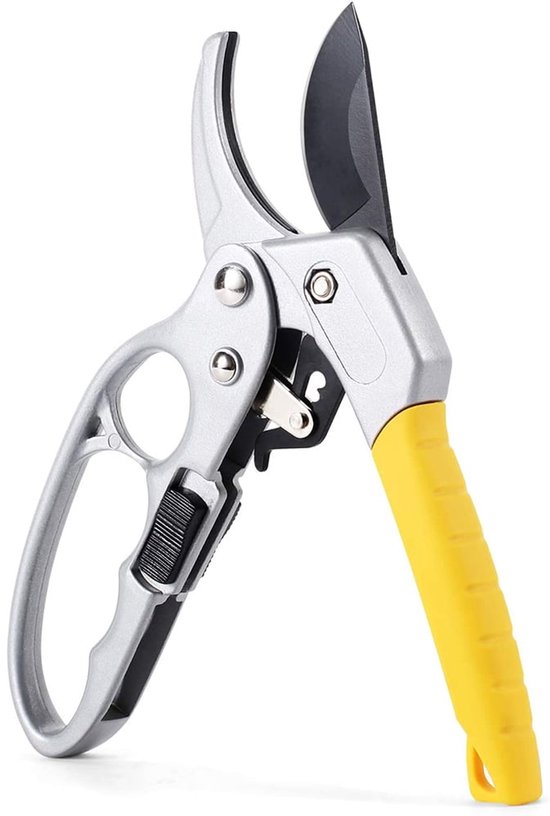 Stevige snoeischaar, handmatige ratelsnoeischaar, plantenschaar, scherpe bladen, boomsnoeischaar van Merkloos	