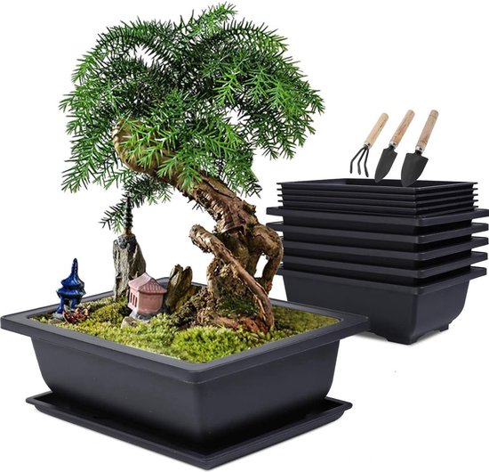 Stunq® Bonsai schaal met onderzetter, bonsai-trainpotten van kunststof, plantenpot voor tuin, 6 stuks rechthoekige bloempot groot met 6 dienbladen en 3 mini-tuingereedschapsset, 23 x 17 x 8 cm van Merkloos	