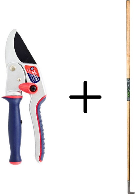 Synx Tools Voegenmes RVS + Spear & Jackson Aambeeld Snoeischaar - Vlijmscherpe Ratel-Twist - 10 JAAR GARANTIE - Onkruidmes - Voegenkrabber met steel 150cm van Synx Tools