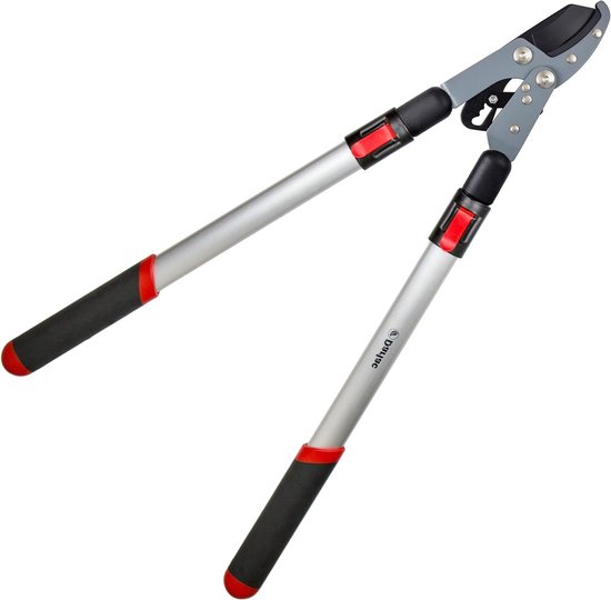 Takkenschaar telescopische Ratchet Lopper met Flip-Lock-functie takkenschaar telescopische van Fiskars