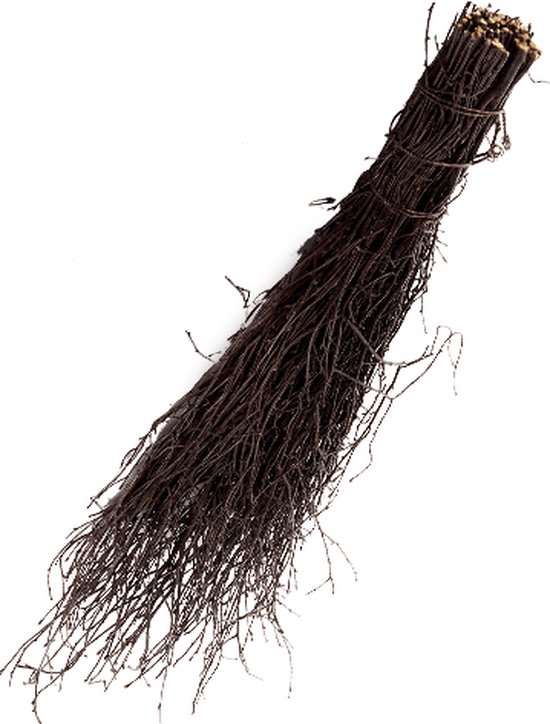 Talen Tools - Takkenberkenbezem - Zonder steel van Talen Tools