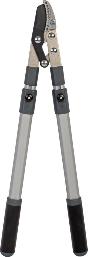 Talen Tools - Takkenschaar - Koolstofstaal - Aambeeld - Telescopisch van Merkloos	