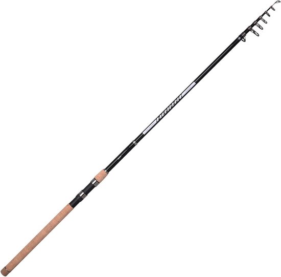Telescoop Hengel Allround - Krachtige Werpmolen Hengel 2,70 m 40-80 g