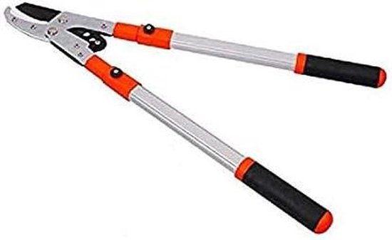 Telescopische Snoeischaar - Uitschuifbare Tuinschaar - Takken Snoeien - Smart Cutting Systeem - 48-75 cm - Grijs