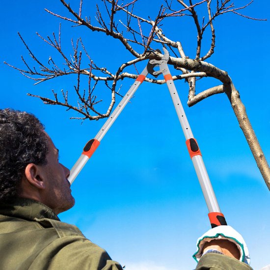 Telescopische Takkenschaar - Handmatige Snoeischaar - Uitschuifbaar 69-100 cm - SK5 Staal - 70 mm - Takken Schaar met Haaienbekvorm - Tuingereedschap - voor takken en fruitbomen