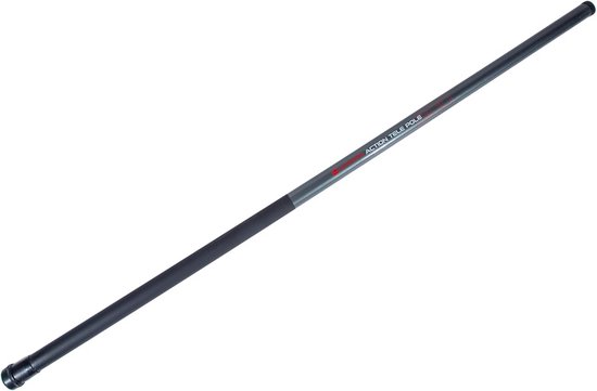 Telescopische Vaste Hengel 500 cm met Elastiek voor Witvis en Karper van Merkloos	