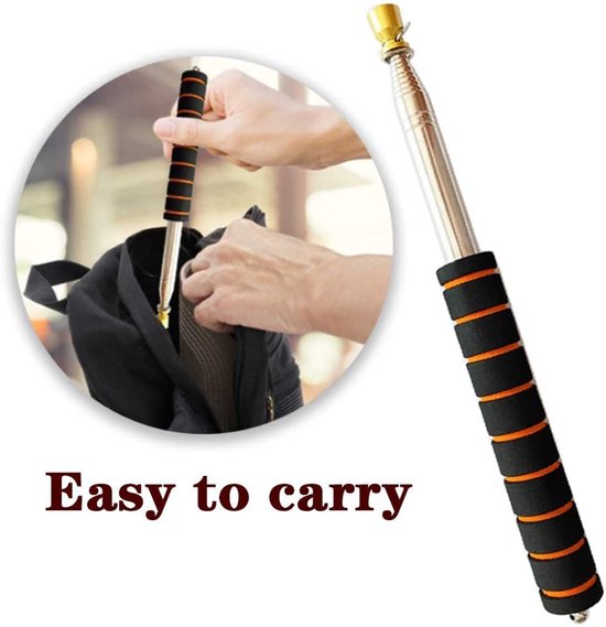 Telescopische Vlaggenmast Roestvrijstaal - Duurzaam en Draagbaar - Uitschuifbare Leiding met Antislip Grip - Ideaal voor Gidsen en Leraren (32 cm) van Zizzle.