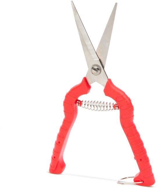 Tuin Schaar – Dun Recht Snijblad – Bloemenschaar / Tuinschaar – Snijdiameter tot 5 mm – Met Veer en Veiligheidssluiting – Antislip Handvat – Voor Bloemen en Planten [11294D] van Merkloos	