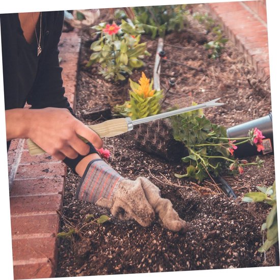 Tuingereedschap Set - Onkruidstekers - Onderhoud Tuin - Ergonomische Handgreep - 2 Stuks - Diverse