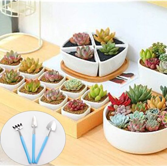 Tuingereedschapset / Tuingereedschapset - hark, kleine schep en spade, Geschikt voor bloempotten, vetplanten, planten, bonsai en het beplanten van tuinen.