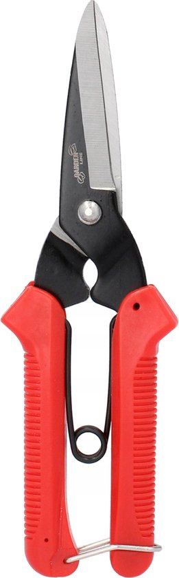 Tuinhandmatige snoeischaar, buxusschaar, voor takken, 20 cm van Merkloos	